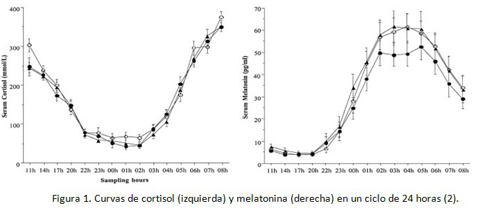 ciclo-melatonina-cortisol-pau-oller-blog